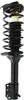 ESCORT 97-03 REAR STRUT RH=LH, Assembly, Gas-Charged