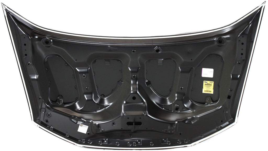 INSIGHT 10-14 HOOD - CAPA