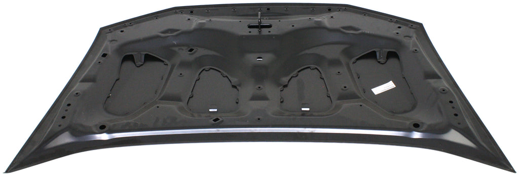 INSIGHT 10-14 HOOD