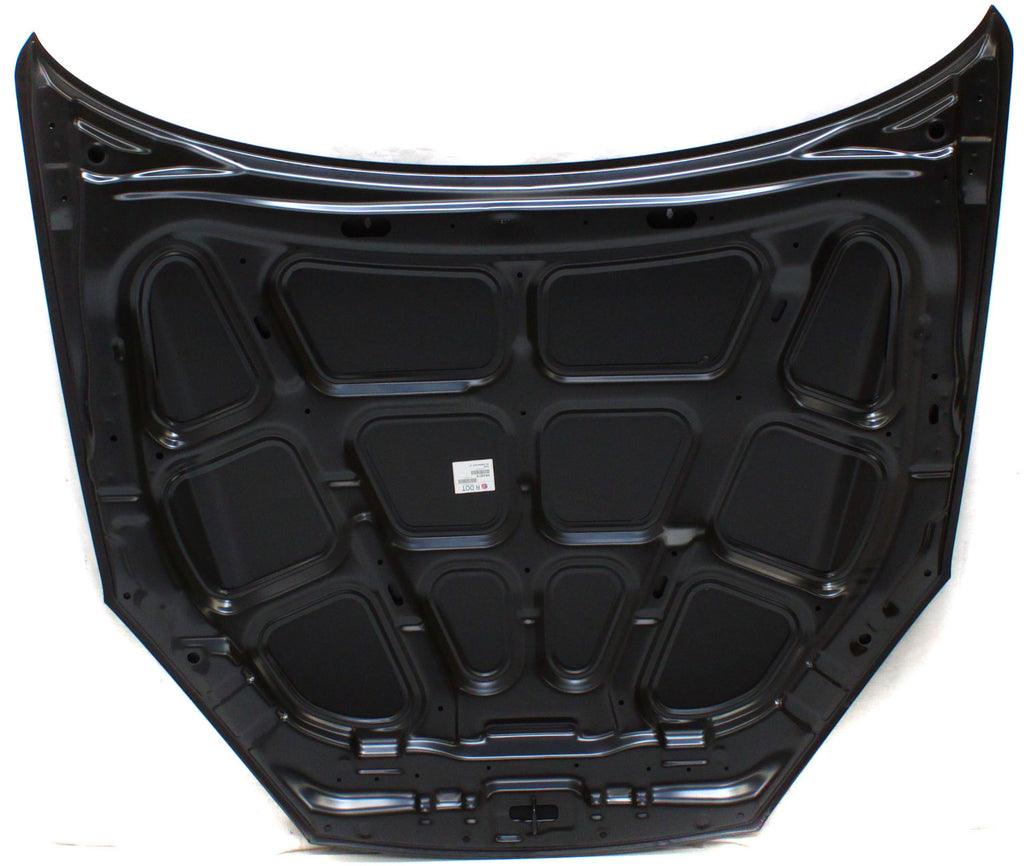 TIBURON 07-08 HOOD