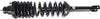 ACCORD 94-97 REAR STRUT LH, Assembly