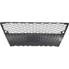 IS250/IS350 14-16 FRONT BUMPER GRILLE, Cover, Gray, Plastic, w/ F Sport Pkg (15-15, w/o Crafted Line Edition) - CAPA