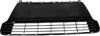 CT200H 14-17 FRONT BUMPER GRILLE, Primed, w/o F Sport Pkg - CAPA