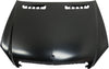 S-CLASS 07-13 HOOD, Aluminum