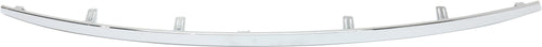 LEAF 13-17 FRONT BUMPER MOLDING, Lower Molding, Chrome