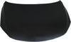 SENTRA 13-15 HOOD, Steel