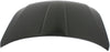 MAXIMA 07-08 HOOD, Steel