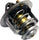 ALTIMA 98-01/SENTRA 00-06 THERMOSTAT, w/o Housing