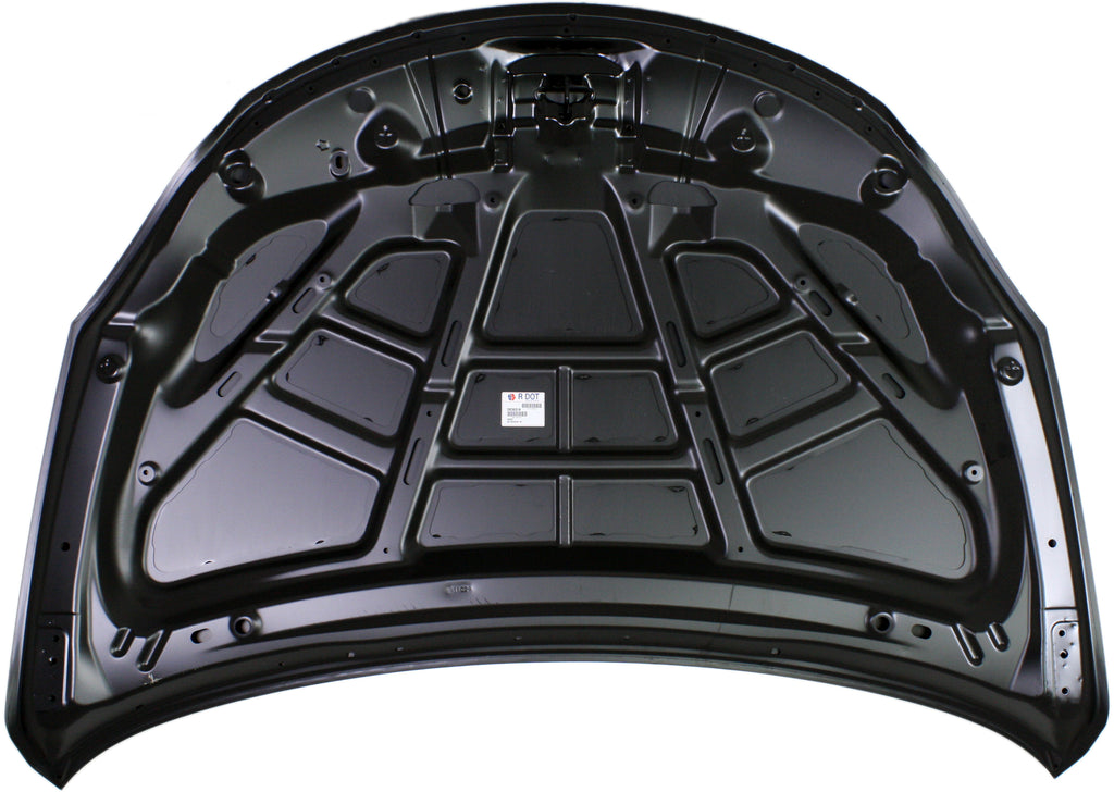 KIZASHI 10-13 HOOD