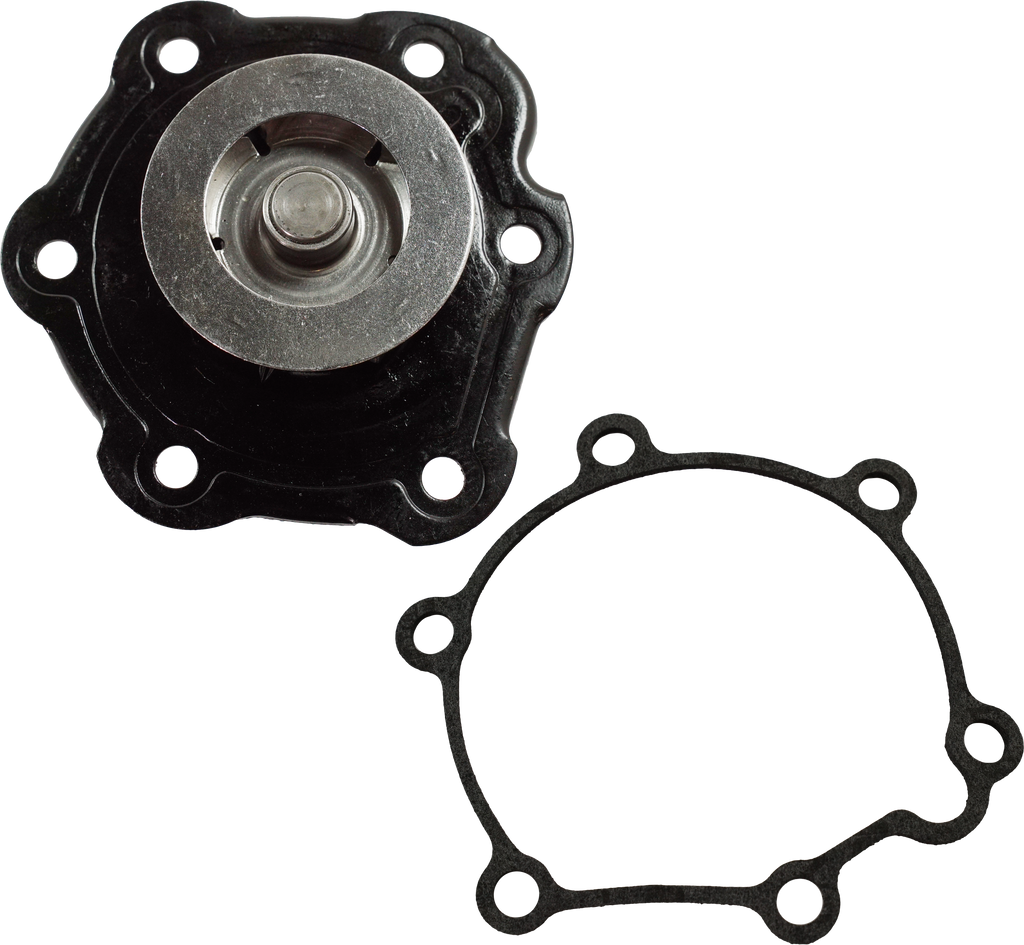 SL SERIES 91-02 WATER PUMP, Assembly