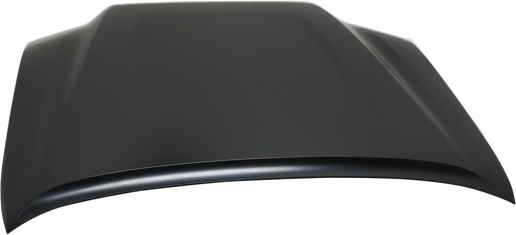TACOMA 16-23 HOOD, Panel, w/o Scoop Provision