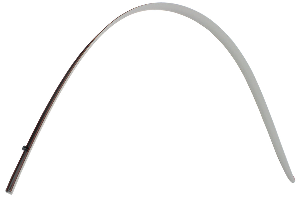 CAMRY 02-06 FRONT DOOR MOLDING LH, Black, LE/SE Models