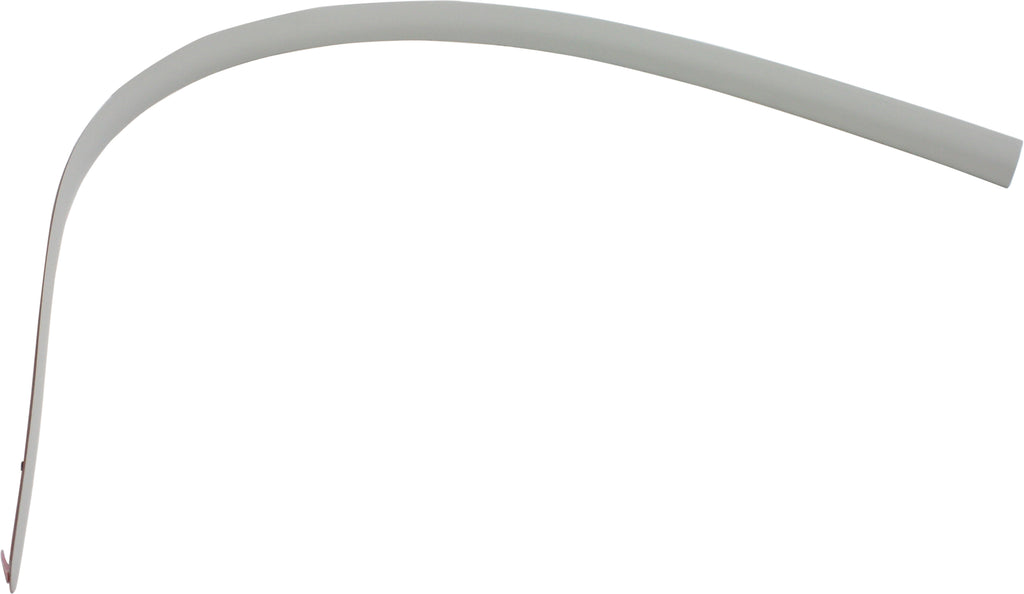 CAMRY 02-06 FRONT DOOR MOLDING LH, Black, LE/SE Models