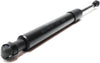 S60 01-06 LIFT SUPPORT, Trunk Lift Support