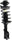 ACCENT 00-05 FRONT STRUT RH, Loaded Strut