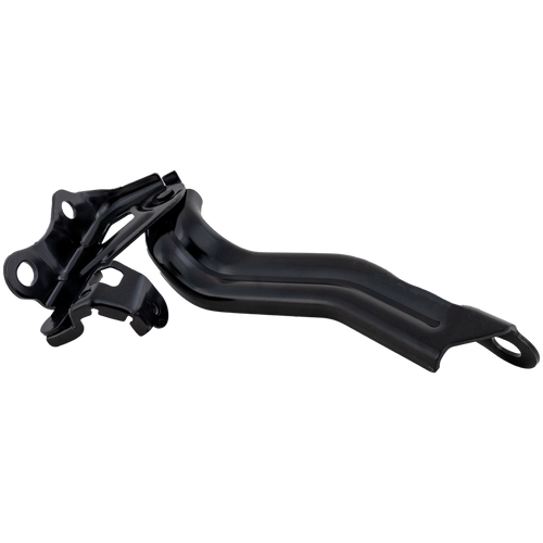 AVALON 19-22 HOOD HINGE RH