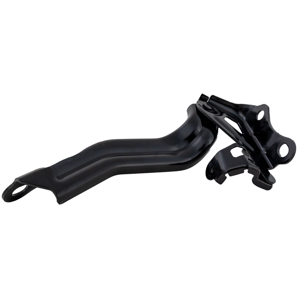 AVALON 19-22 HOOD HINGE LH