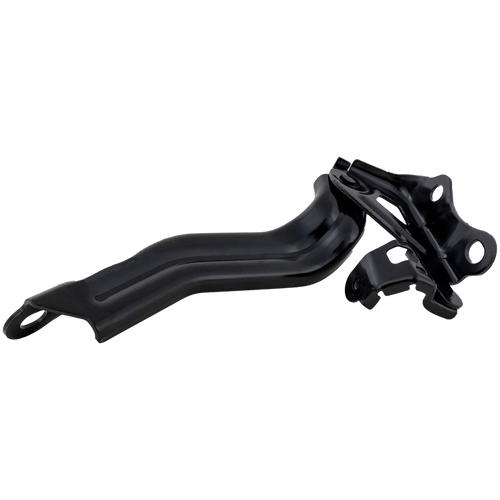 AVALON 19-22 HOOD HINGE LH