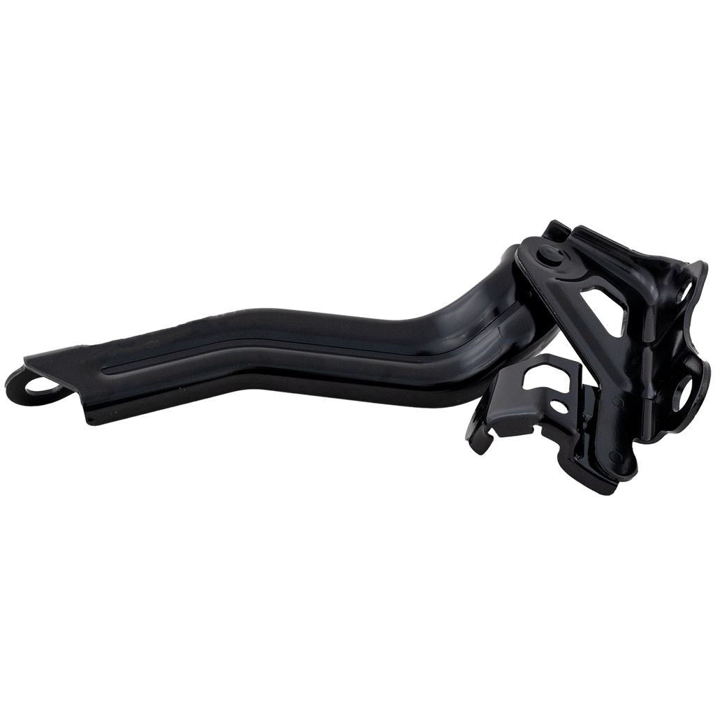 AVALON 19-22 HOOD HINGE LH