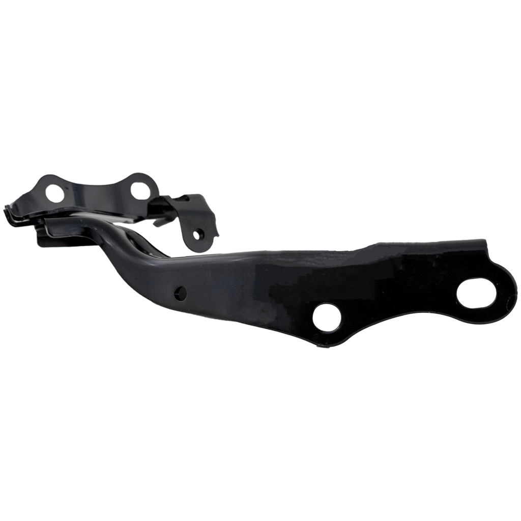 AVALON 19-22 HOOD HINGE LH