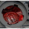 PRIUS 19-22 TAIL LAMP LH, Lower, Lens and Housing, LED - CAPA