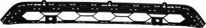 TIGUAN 18-21 FRONT BUMPER GRILLE, Center, Standard Style, w/o Front View Camera, w/ Park Distance Control Sensor Holes