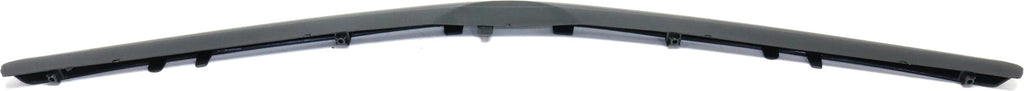 PRIUS 04-05 FRONT BUMPER MOLDING, Plastic, Black