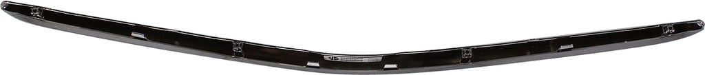 PRIUS 06-09 FRONT BUMPER MOLDING, Plastic, Chrome