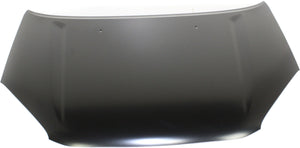 RAV4 01-05 HOOD, w/o Scoop