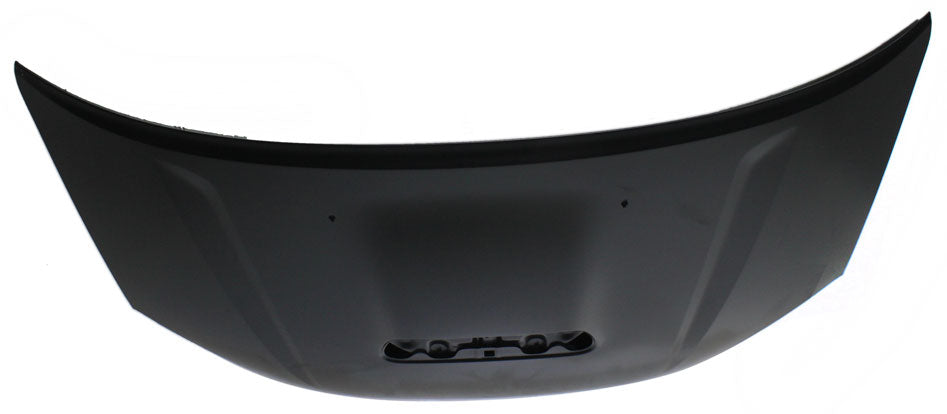 RAV4 01-05 HOOD, w/ Scoop