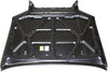 4RUNNER 03-09 HOOD, Limited/SR5 Models - CAPA