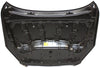 RAV4 06-12 HOOD - CAPA