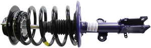 Suspension Strut and Coil Spring Assembly