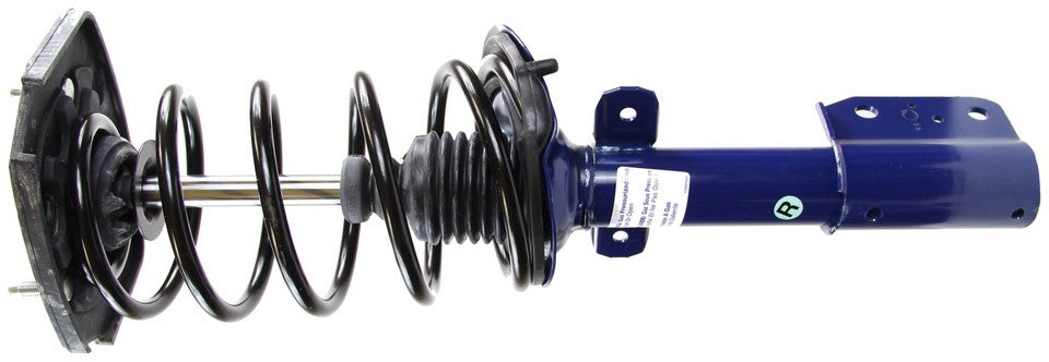 Suspension Strut and Coil Spring Assembly