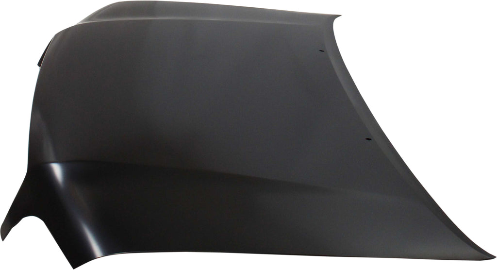 TUNDRA 00-06/SEQUOIA 01-07 HOOD