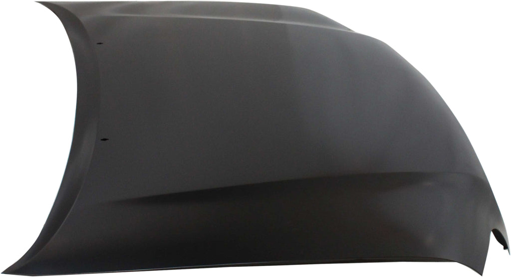 TUNDRA 00-06/SEQUOIA 01-07 HOOD