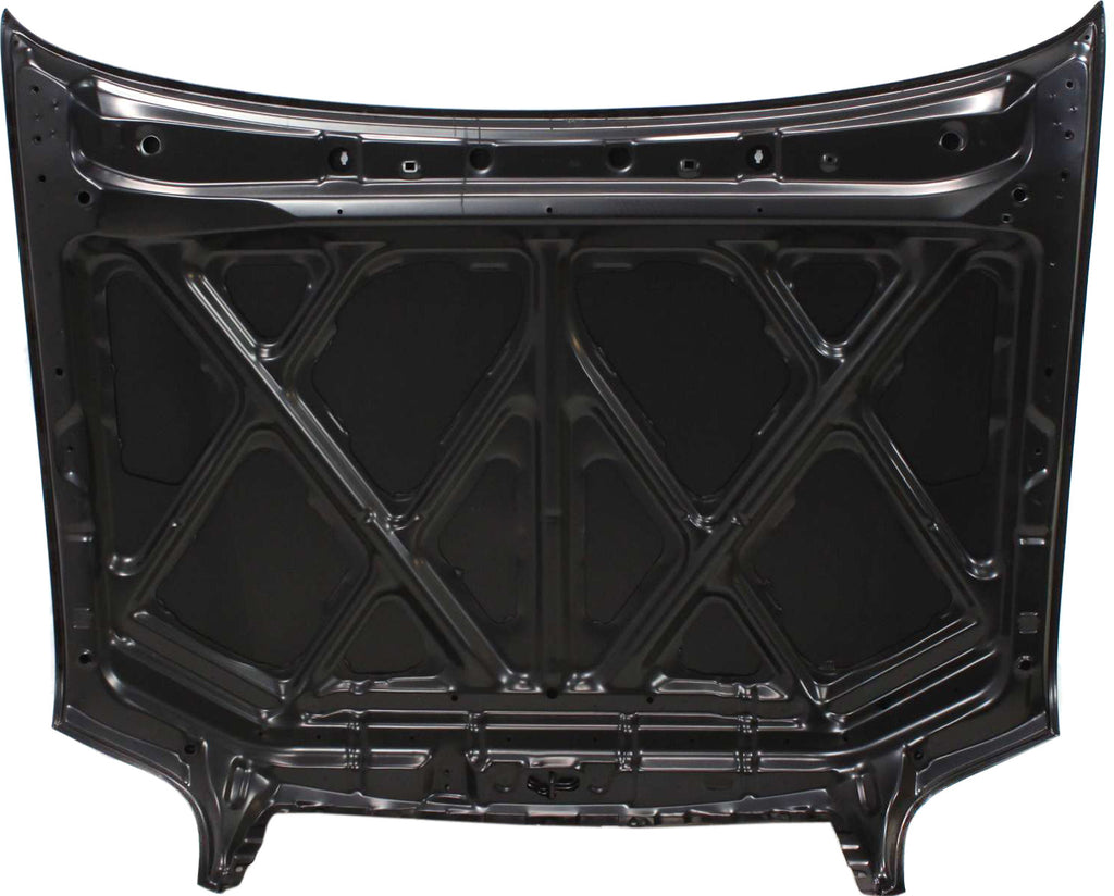 TUNDRA 00-06/SEQUOIA 01-07 HOOD