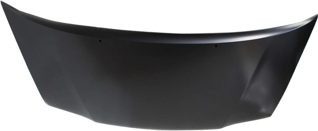 TUNDRA 00-06/SEQUOIA 01-07 HOOD