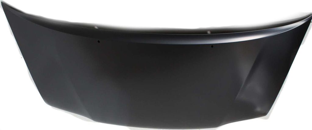 TUNDRA 00-06/SEQUOIA 01-07 HOOD