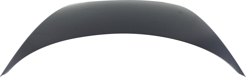 BEETLE 06-10 HOOD, w/o Mark Hole