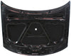PASSAT 98-01 HOOD, Old Body Style