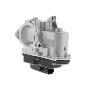 Exhaust Gas Recirculation (EGR) Valve