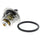Engine Coolant Thermostat