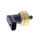 Fuel Pressure Sensor